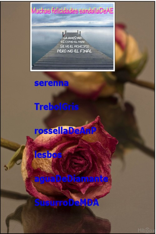 cumpleaños sandalia2.jpg